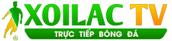 đocbao